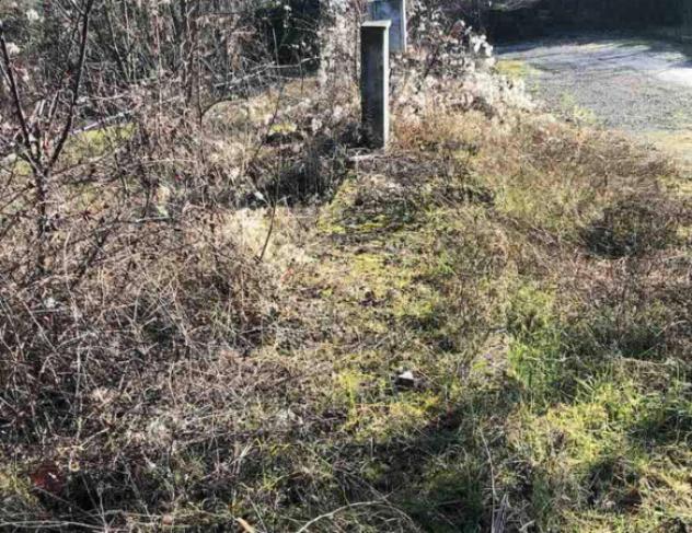 Immobile in asta di 2 m² in vendita a Gazzola - Foto 3