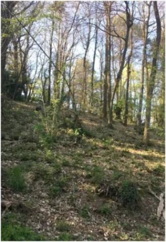 Immobile in asta di 4000 m² in vendita a Lipomo - Foto 4