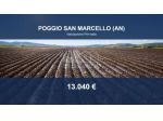 Immobile in asta di 52452 m² in vendita a Poggio San Marcello