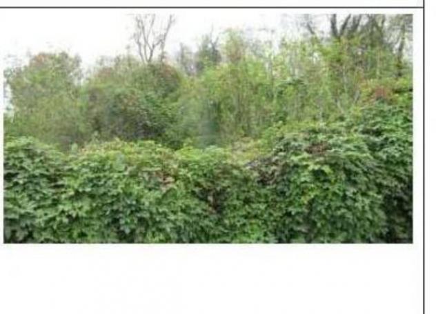 Immobile in asta di 3012 m² in vendita a Vistarino - Foto 2