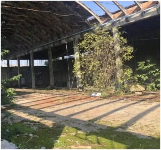 Immobile in asta di 5852 m² in vendita a Sissa Trecasali - Foto 17
