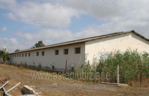 IMMOBILI-IMMOBILE RESIDENZIALE-Località Campu Pauli snc - Foto 4