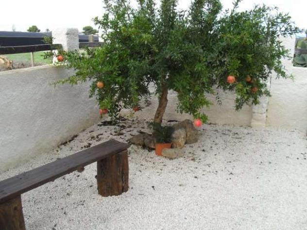 1669_turistico - In affitto a Marsala appartamenti vacanza, perif. - Foto 13
