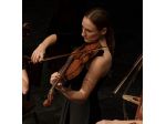 Violinista Venezia