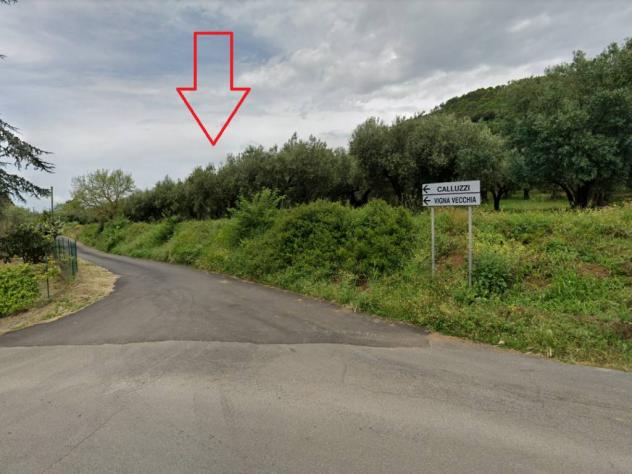 Feroleto Antico vendesi terreno residenziale 1000 Mq - Foto 3