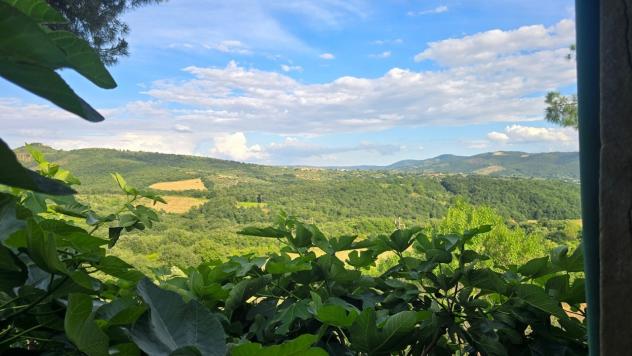 Casale in vendita a Panicale - Foto 3