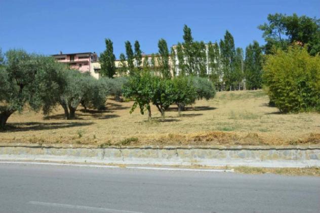 Immobile in asta di 2310 m² in vendita a San Giorgio Lucano - Foto 5