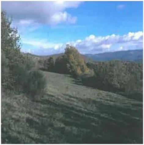 Immobile in asta di 209 m² in vendita a Spoleto - Foto 7