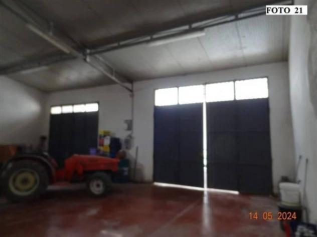 Immobile in asta di 90 m² con più di 5 locali e box auto in vendita a Mazzarrone - Foto 7
