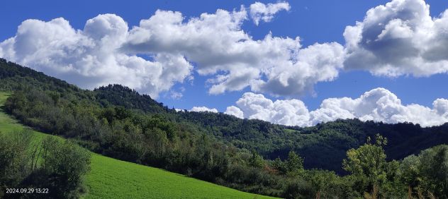Rustico Torriana (RN) con bosco di 5900mq - Foto 10