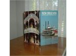 New Orleans A Picture Book To Remember Her By Ted Smart