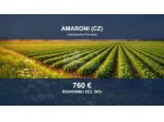 Immobile in asta di 795 m² in vendita a Amaroni