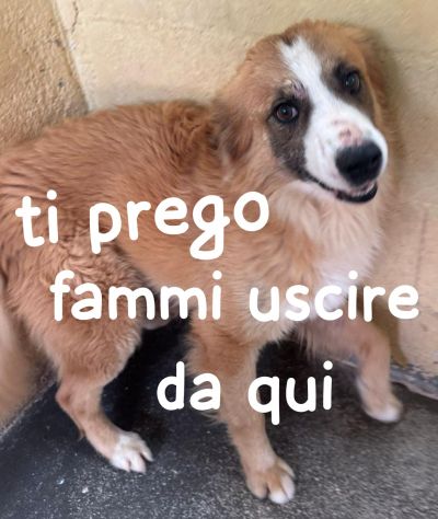 DYLAN 4 ANNI