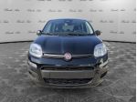 FIAT Pandina Pandina 1.0 firefly hybrid KM0 - Disponibili Versioni Pop e Icon
