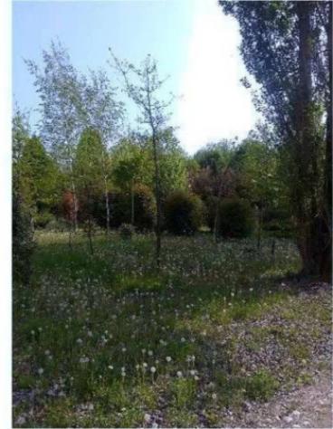 Immobile in asta di 11048 m² in vendita a Caneva - Foto 18