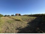 Vigneto in vendita a Francavilla al Mare