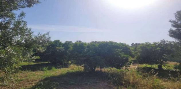 Immobile in asta di 584352 m² in vendita a Ispica - Foto 9