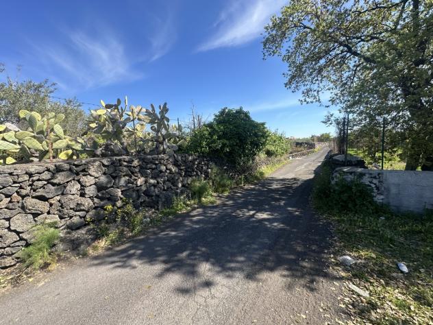 Agricolo in vendita a Misterbianco - Foto 12