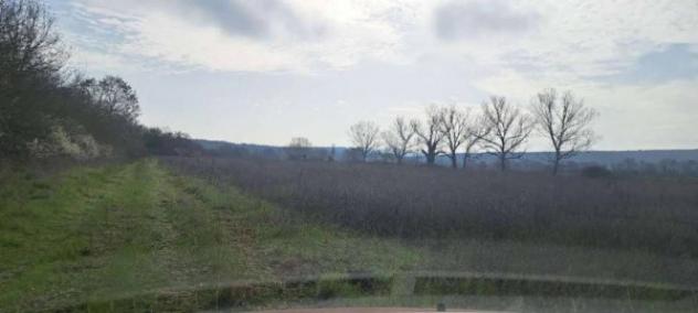 Immobile in asta di 165 m² in vendita a Monteriggioni - Foto 8