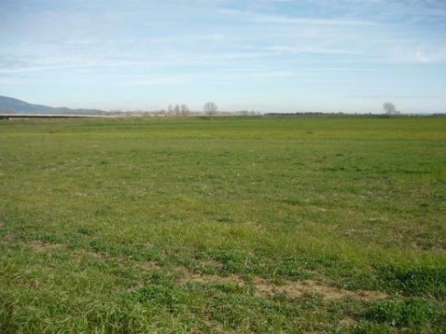 Terreno di 6000 m² in vendita a Carpi