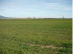 Terreno di 6000 m² in vendita a Carpi