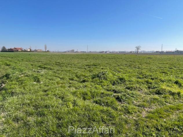 Terreno a Codevigo - Rif. CODR11 - Foto 3