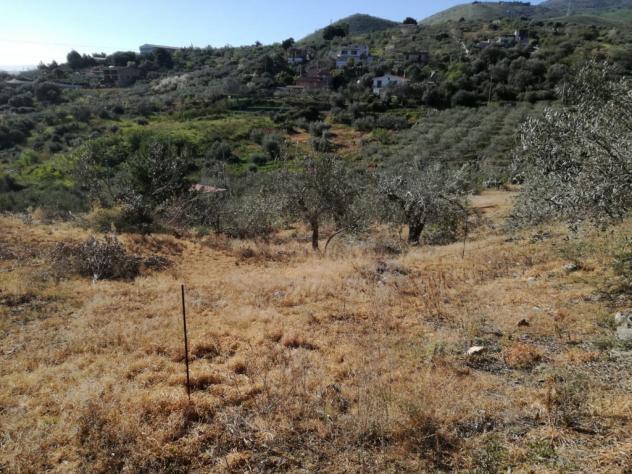 Agricolo in SP126 - Foto 4