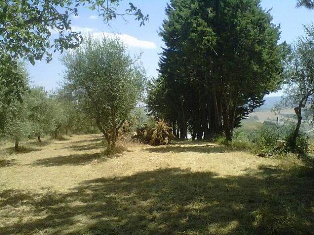 Rustico in vendita a Legoli - Peccioli 300 mq Rif: 1382136 - Foto 7