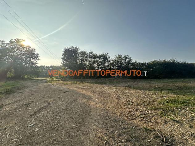 TERRENO AGRICOLO 4.400MQ - Foto 3