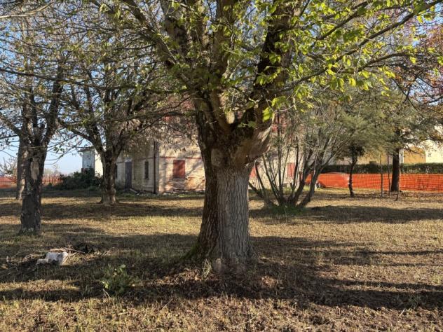 A466. LIMIDI. Casale di campagna con area cortiliva privata, con possibilità di realizzare fino a 3 unità abitative indipendenti. - Foto 4