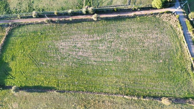 Terreno Agricolo in Bracciano - Foto 4