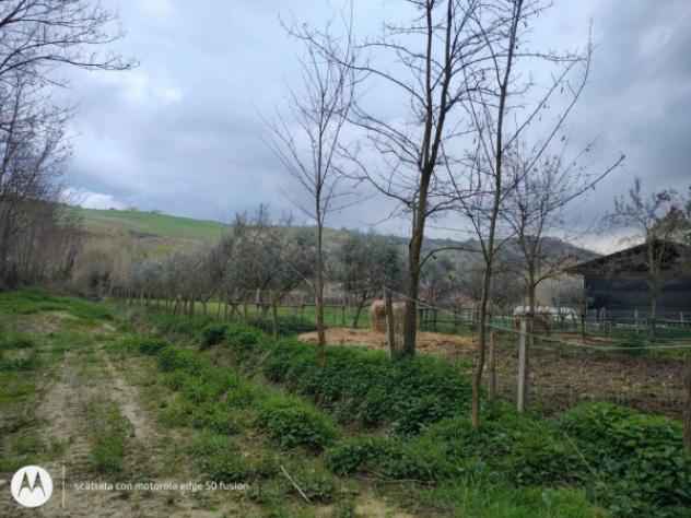 Immobile in asta di 22865 m² in vendita a Teramo - Foto 6