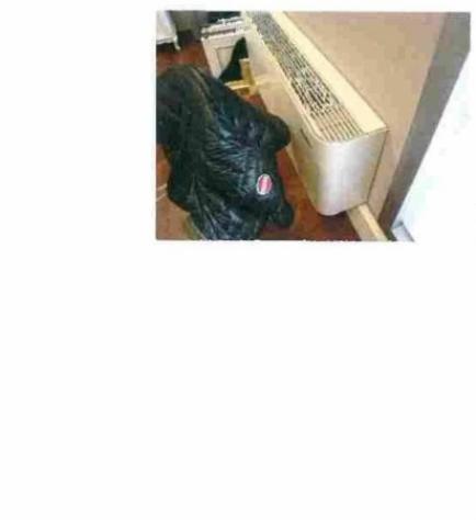 Immobile in asta di 3122 m² in vendita a Cerea - Foto 15