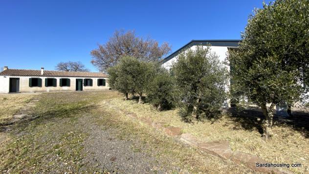 Abbasanta, Località Aiga, podere con scuderie - Foto 3