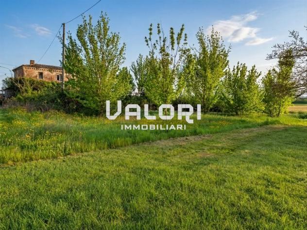 GRANDE LOTTO EDIFICABILE IMMERSO NEL VERDE CON ELEVATA CUBATURA E TOTALE INDIPENDENZA - Foto 5