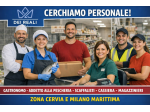 RICERCA PERSONALE PER SUPERMERCATI