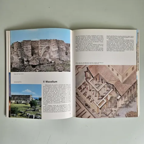 Paestum e Velia - Carpiceci, Pennino - Edizioni Matonti - 1985 - TRACCIATA! - Foto 5