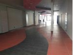1 Vetrina in affitto a Lucca