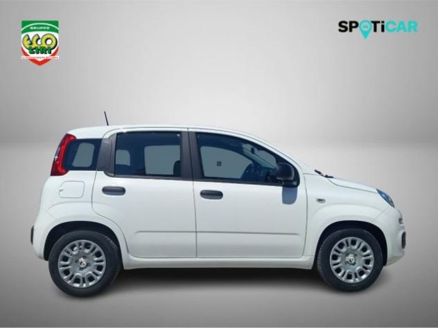 FIAT Pandina 1.0 65 CV Hybrid Icon+GPL rif. 24175574 - Foto 4
