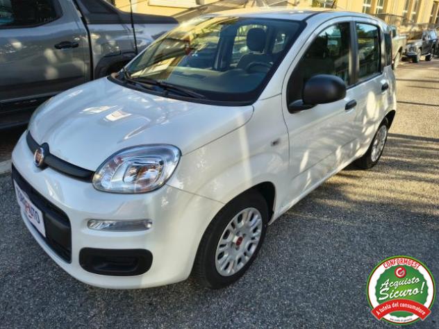 FIAT Panda 1.0 FireFly S&S Hybrid UN. PROP. rif. 23979213 - Foto 3