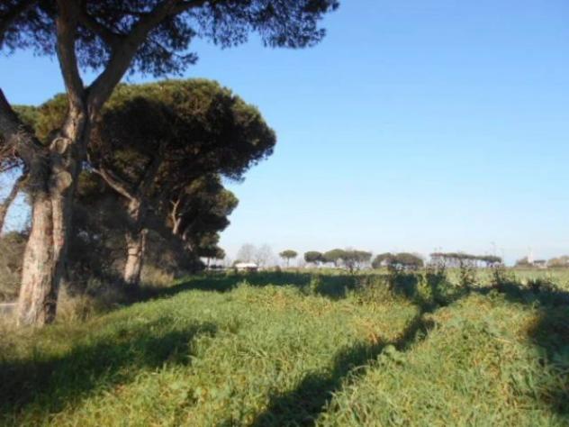 Immobile in asta di 82648 m² in vendita a Latina - Foto 4