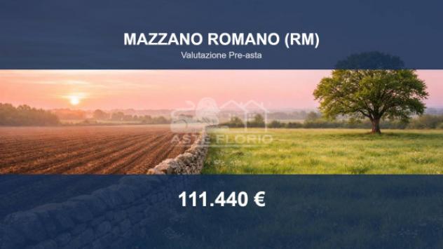 Immobile in asta di 41390 m² in vendita a Mazzano Romano