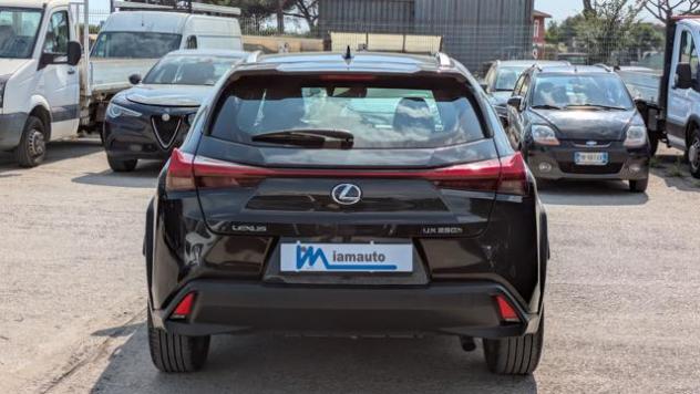 LEXUS UX 250h HYBRID BUSINESS 2WD 2.0cc 184cv(152cv) rif. 23765511 - Foto 6