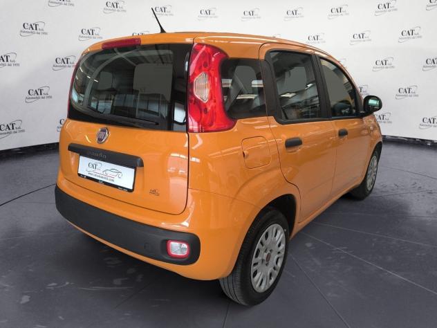 FIAT Panda Panda 1.2 Easy (PREZZO REALE) - Foto 3