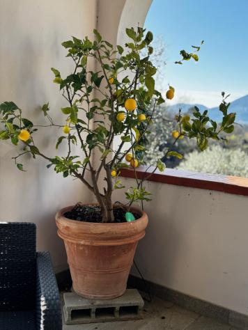 Villa in vendita a La Spezia - Foto 13