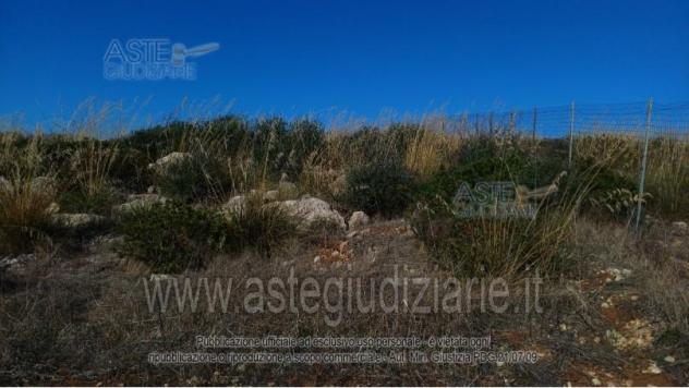 IMMOBILI-ALTRA CATEGORIA-Località Genna su Carru - Foto 2