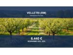 Immobile in asta di 860 m² in vendita a Velletri