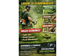 Servizio di giardinaggio