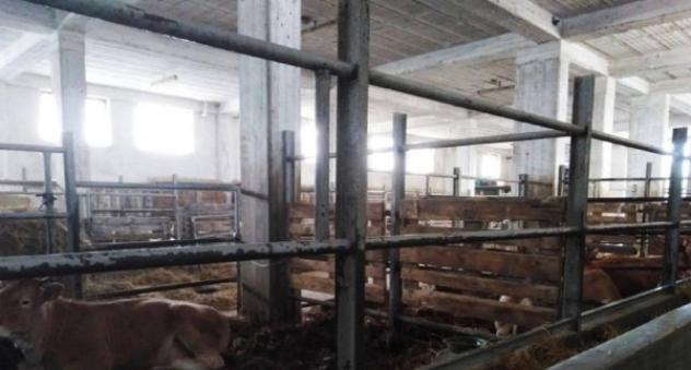 Immobile in asta di 231 m² con più di 5 locali in vendita a Scurcola Marsicana - Foto 11