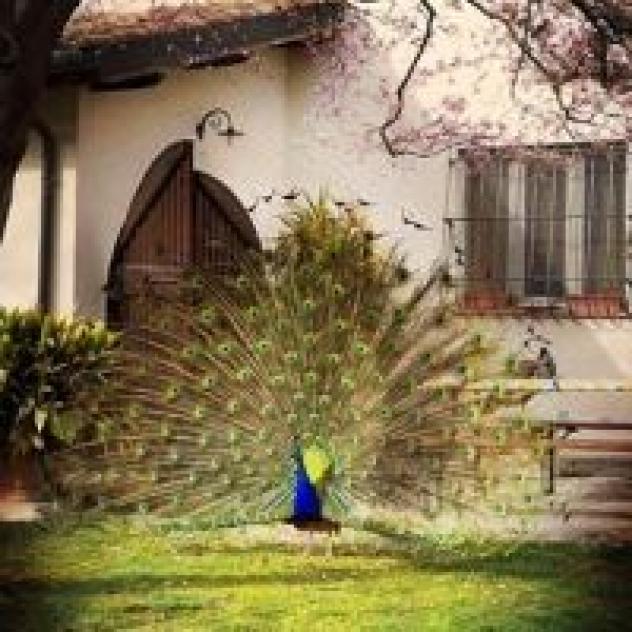 Agriturismo IL Molino Della Cagnoletta